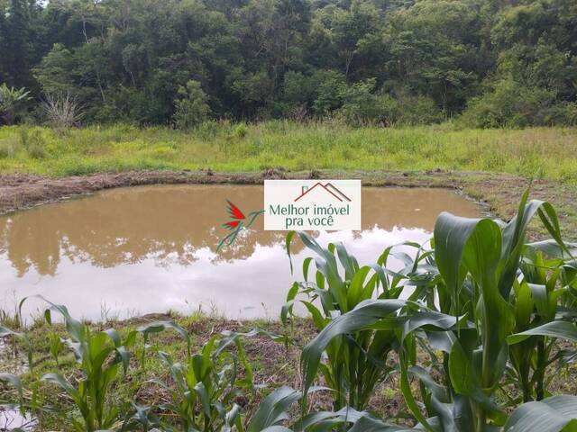 #483 - Chácara para Venda em Campestre - MG - 3