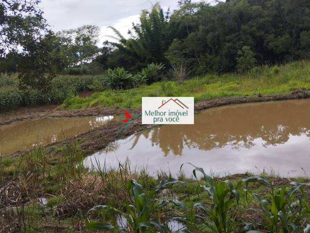 Chácara para Venda em Campestre - 4