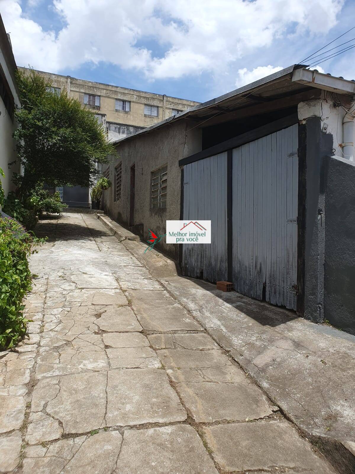 Casa, 3 quartos, 600 m² - Foto 3