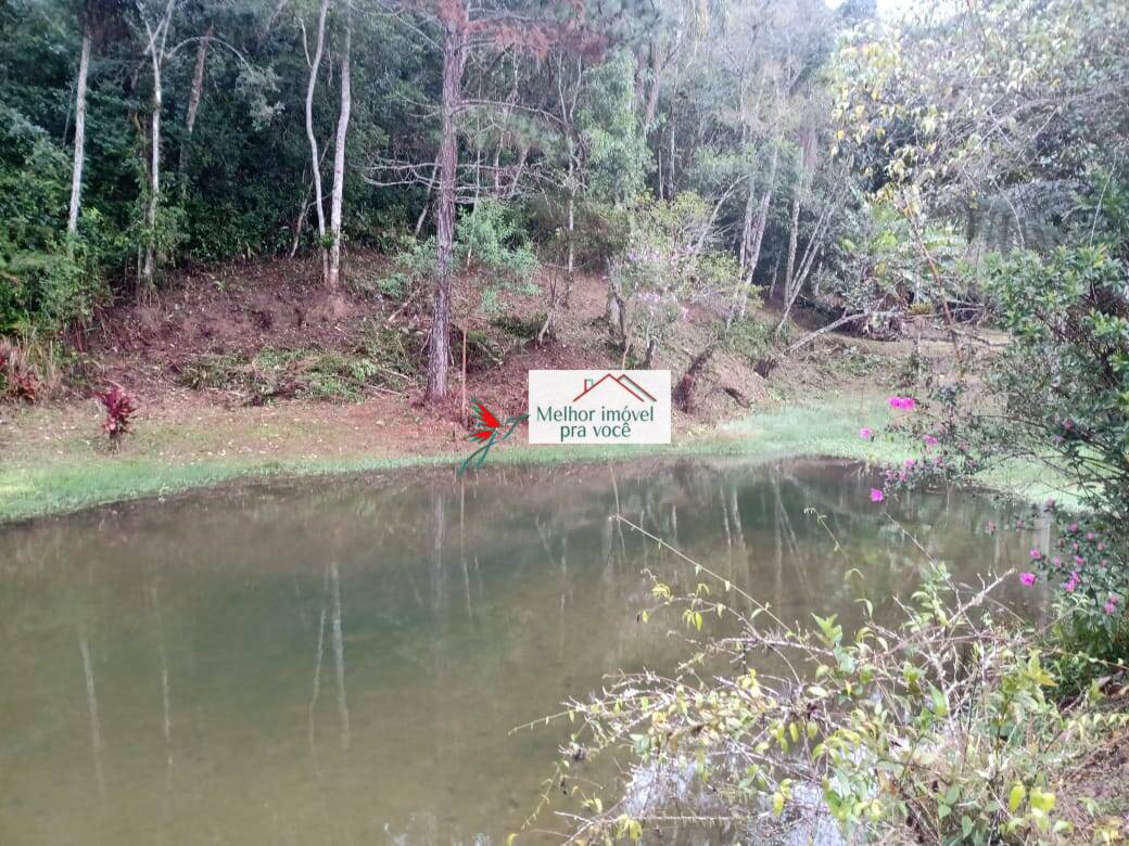 Sítio, 3 quartos, 3 hectares - Foto 12