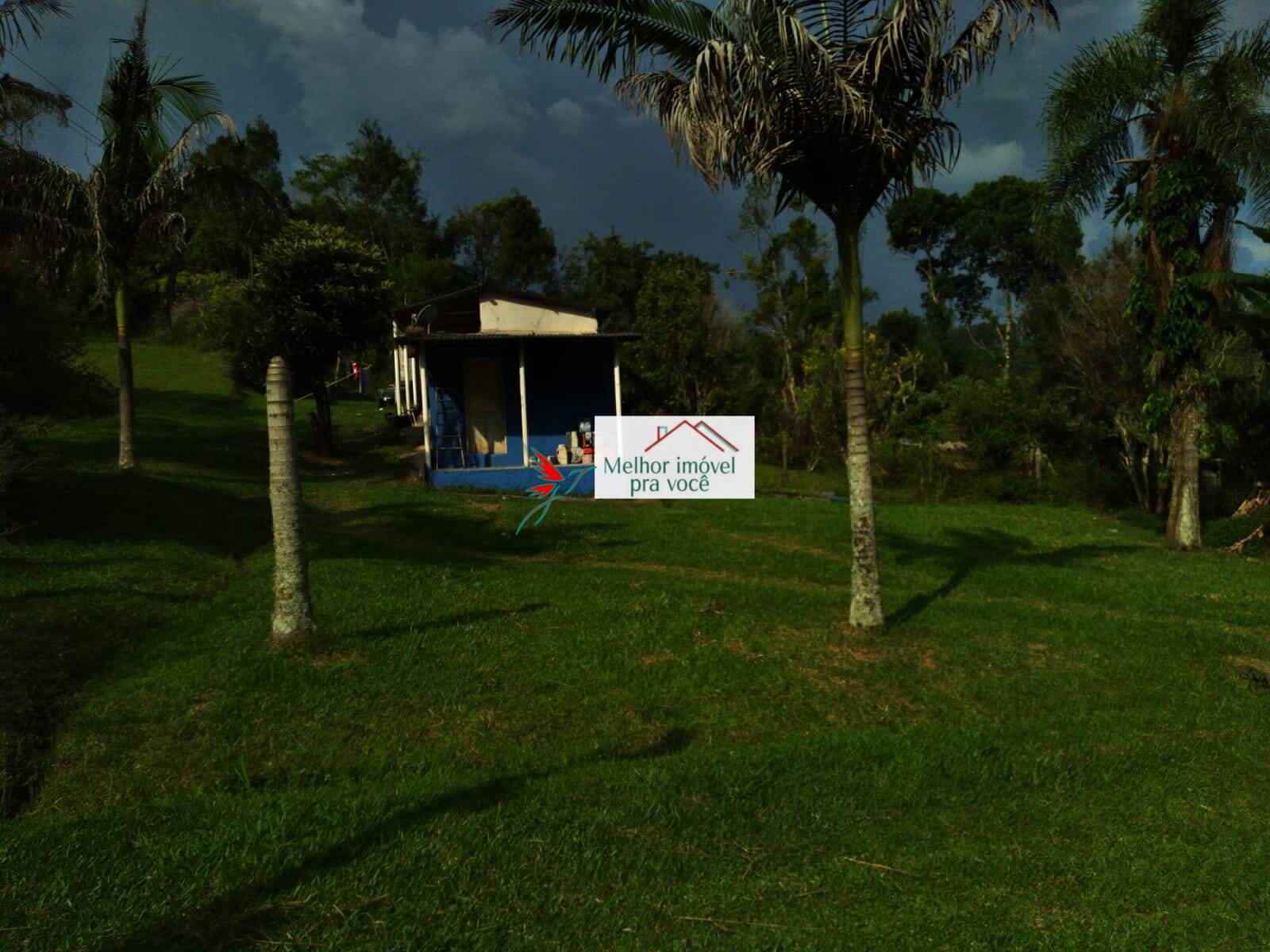 Sítio, 3 quartos, 3 hectares - Foto 14
