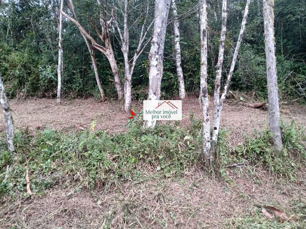 Sítio, 3 quartos, 3 hectares - Foto 17