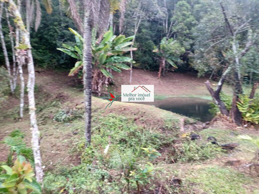 Sítio, 3 quartos, 3 hectares - Foto 20