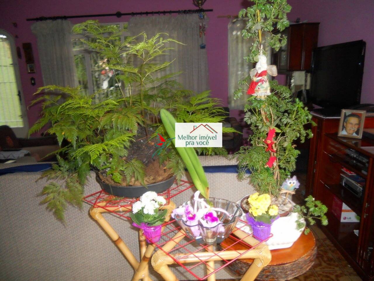 Casa, 3 quartos - Foto 12