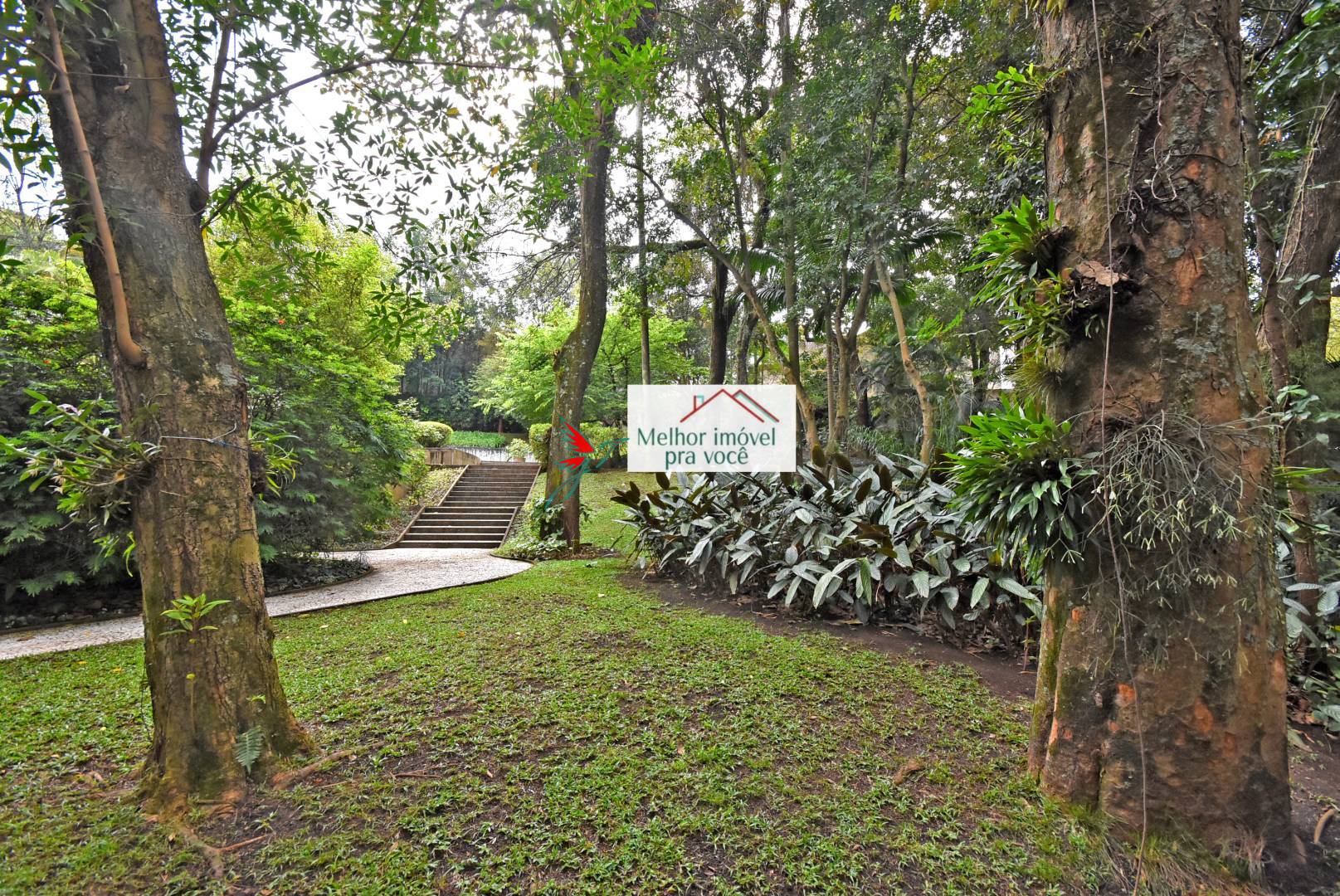Casa, 4 quartos, 976 m² - Foto 15