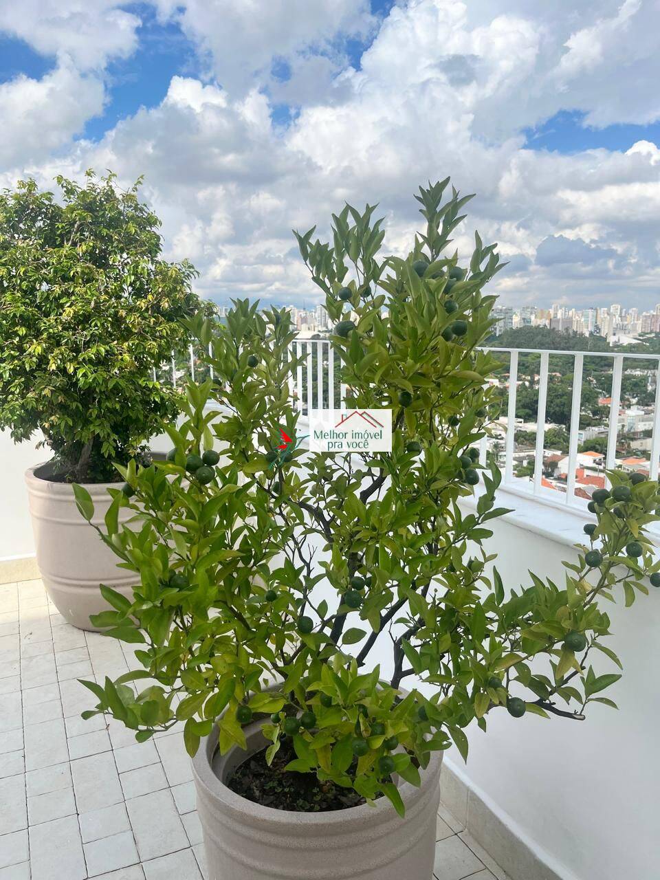 Apartamento, 3 quartos, 501 m² - Foto 18