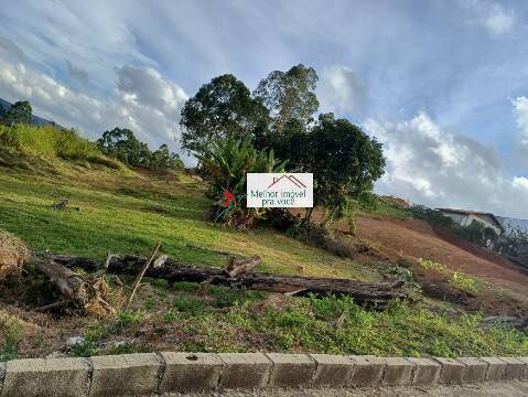 Terreno, 5650 m² - Foto 3