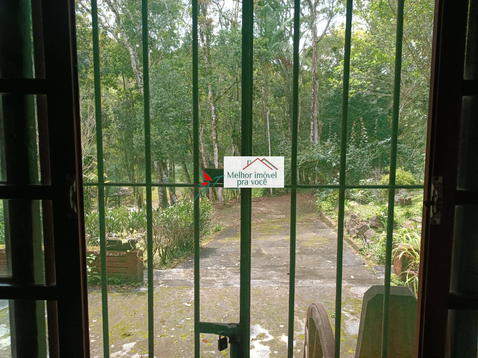 Sítio, 3 quartos, 2 hectares - Foto 5