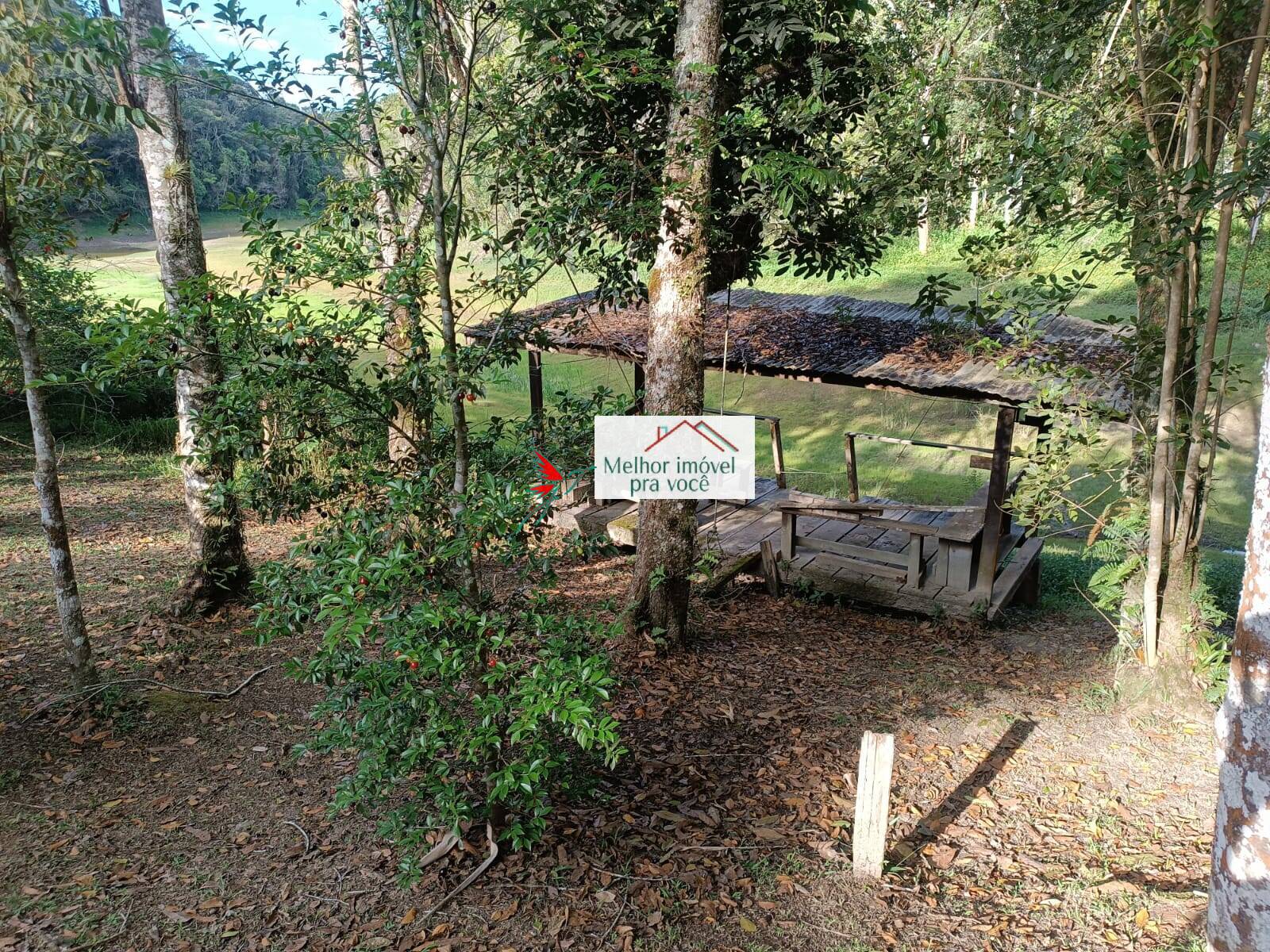 Sítio, 3 quartos, 2 hectares - Foto 13