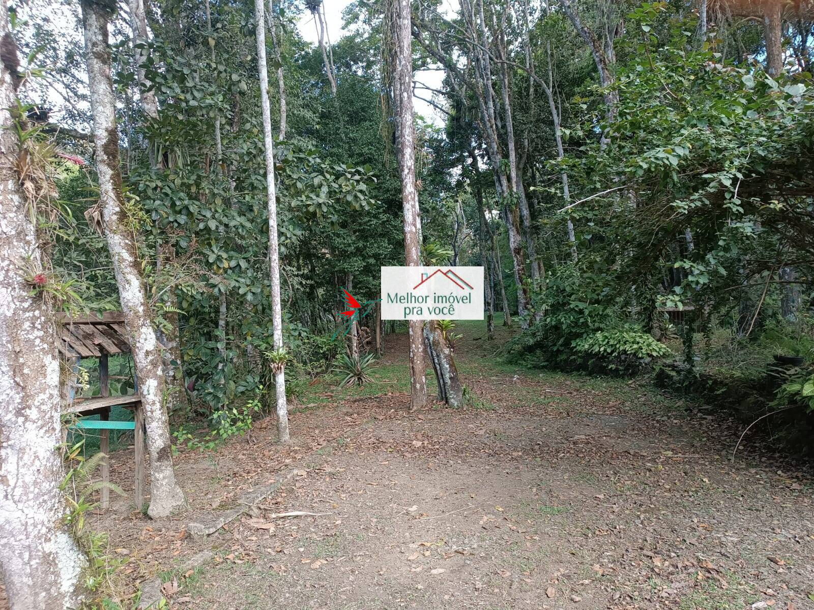 Sítio, 3 quartos, 2 hectares - Foto 75