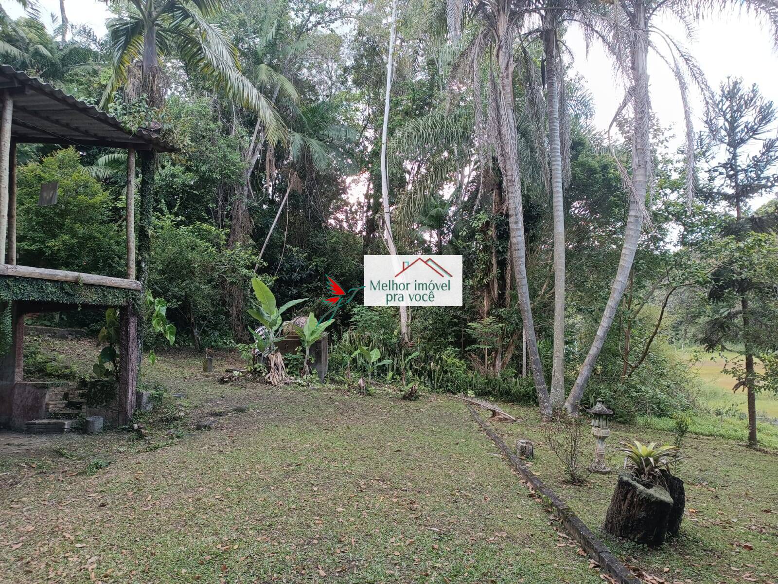 Sítio, 3 quartos, 2 hectares - Foto 85