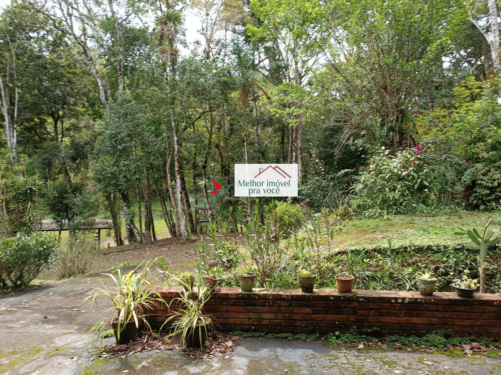 Sítio, 3 quartos, 2 hectares - Foto 87