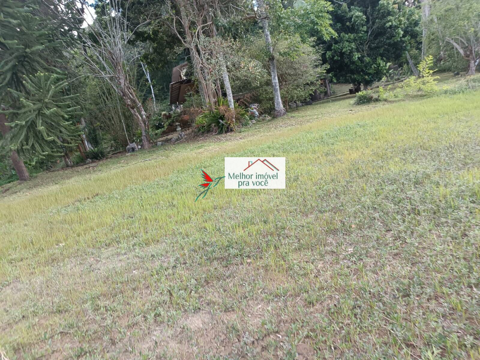 Sítio, 3 quartos, 2 hectares - Foto 97