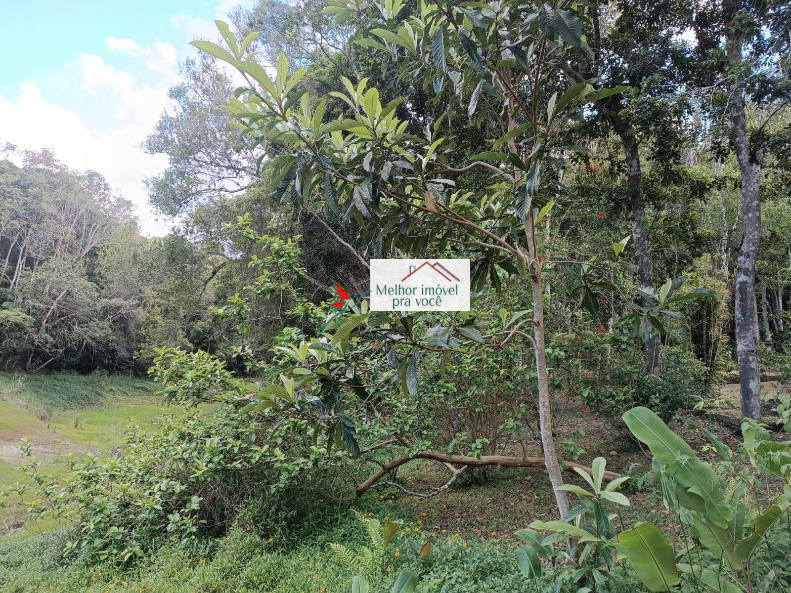 Sítio, 3 quartos, 2 hectares - Foto 16