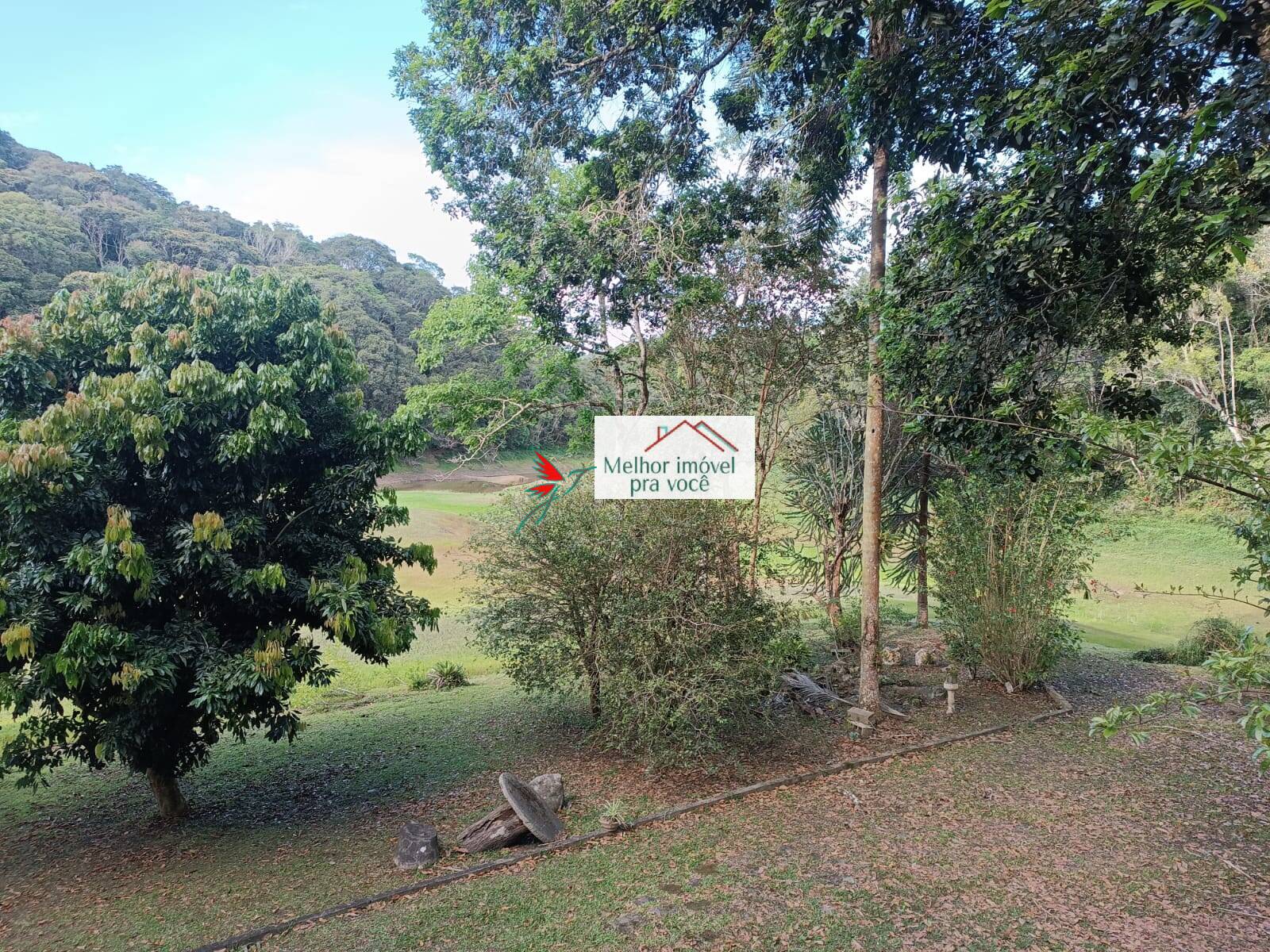 Sítio, 3 quartos, 2 hectares - Foto 32