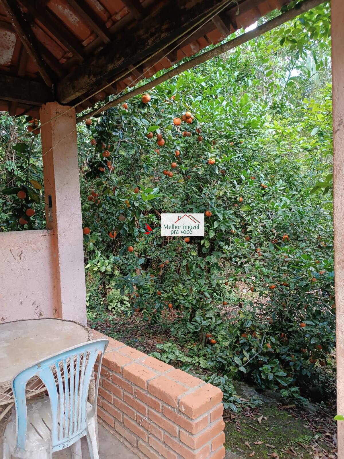 Sítio, 3 quartos, 2 hectares - Foto 40
