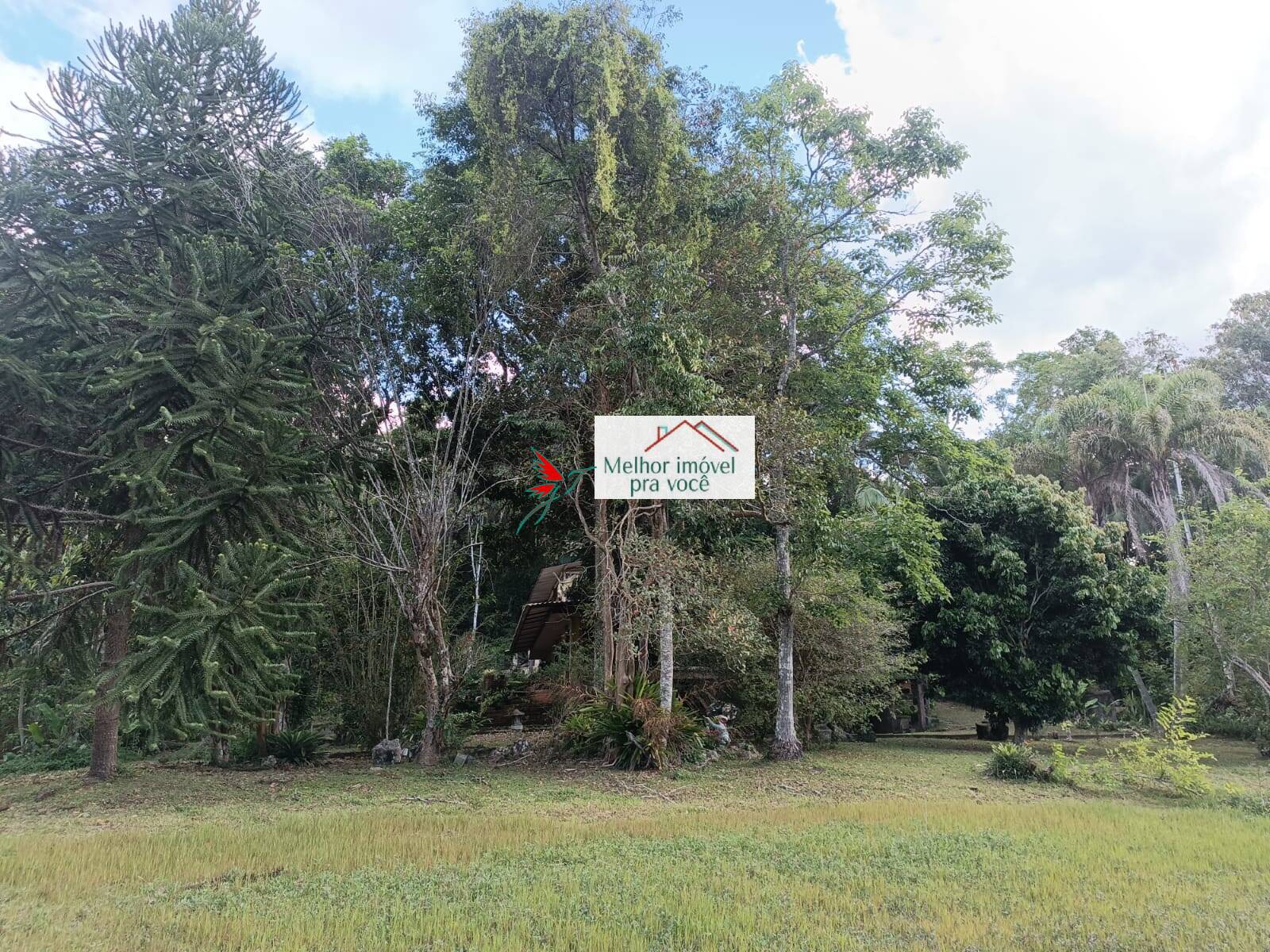 Sítio, 3 quartos, 2 hectares - Foto 48
