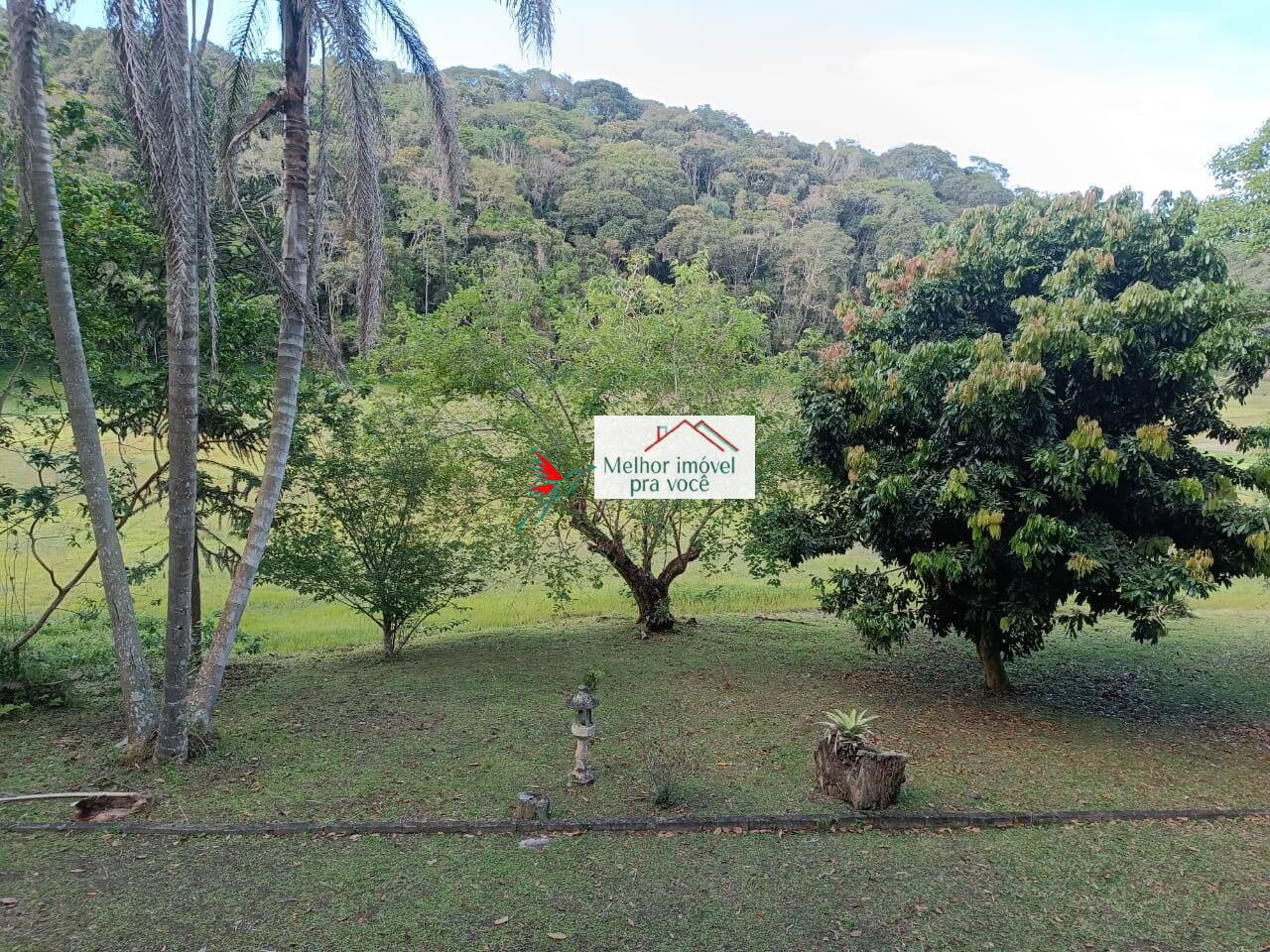 Sítio, 3 quartos, 2 hectares - Foto 92