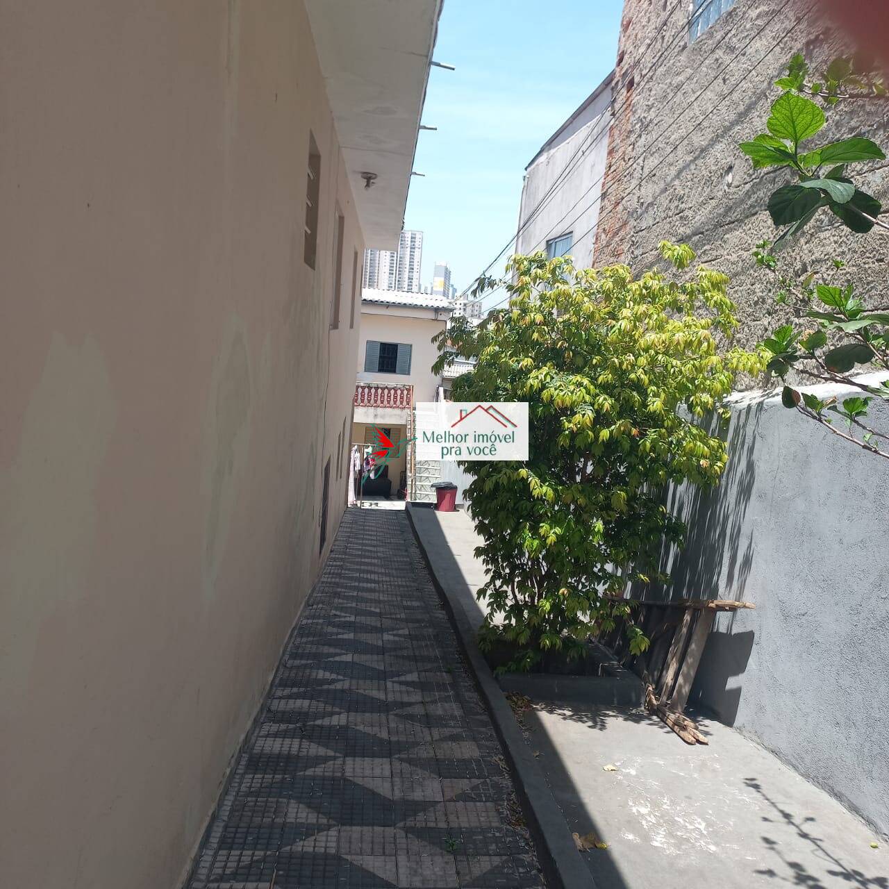 Casa, 3 quartos, 200 m² - Foto 6