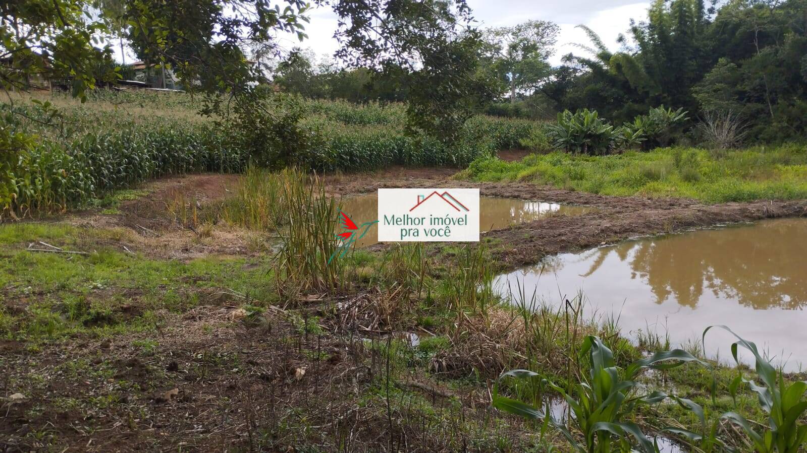 Sítio, 2 quartos, 2 hectares - Foto 12